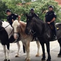 The Power of Partnerships: How Police and Local Businesses Work Together in Central Maryland